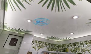 3Д Опънат таван с Палми в баня с диодно осветление, лунички и фотопринт.