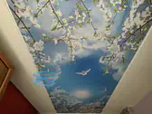 3D Опънат таван в коридор - фотопринт - небе, слънце, разцъфтяли клонки и гълъби.